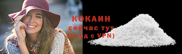 mdpv Бородино