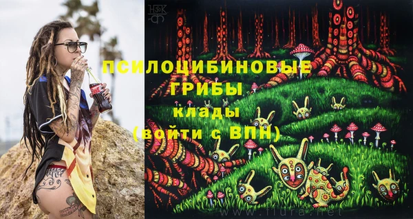 марихуана Белокуриха