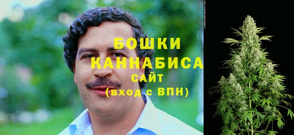 МДПВ Бронницы