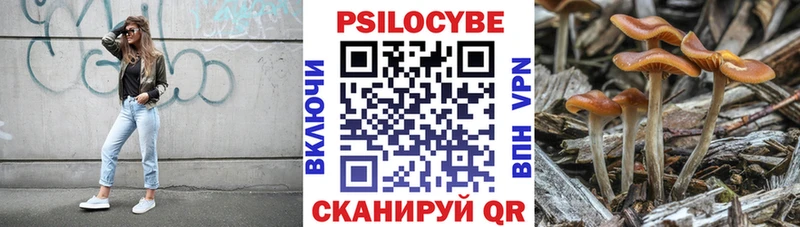 Псилоцибиновые грибы Cubensis  купить  цена  Старица 